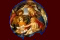 Mayo: Tondo de la Madonna del Magnificat de Botticelli 